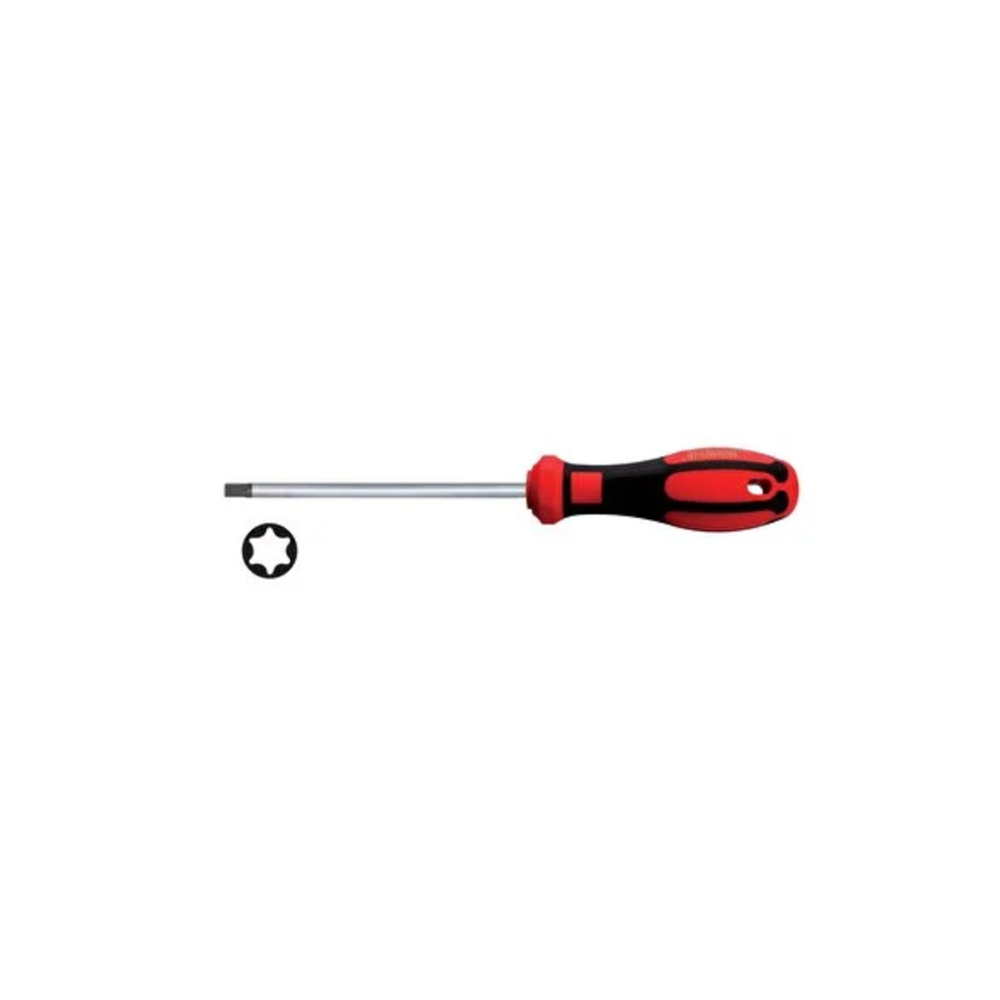 TORNAVİDA TORX T25 F18-025-100 CF