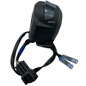 TVS RAİDER 125 SAG KUMADA DÜĞME SETİ ORJİNAL