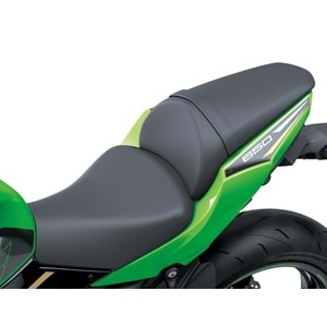 KAWASAKİ NINJA 650 GRİ 2024
