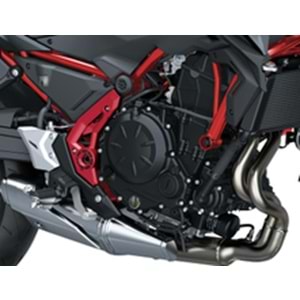 KAWASAKİ Z650 KIRMIZI 2024