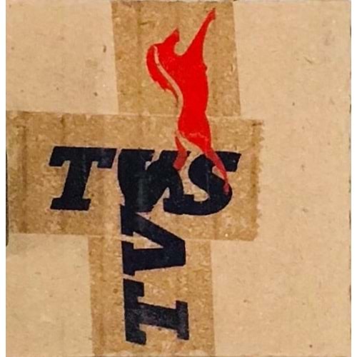 TVS RTR PİSTON SEKMAN SETİ 57 mm ORJİNAL N9325320