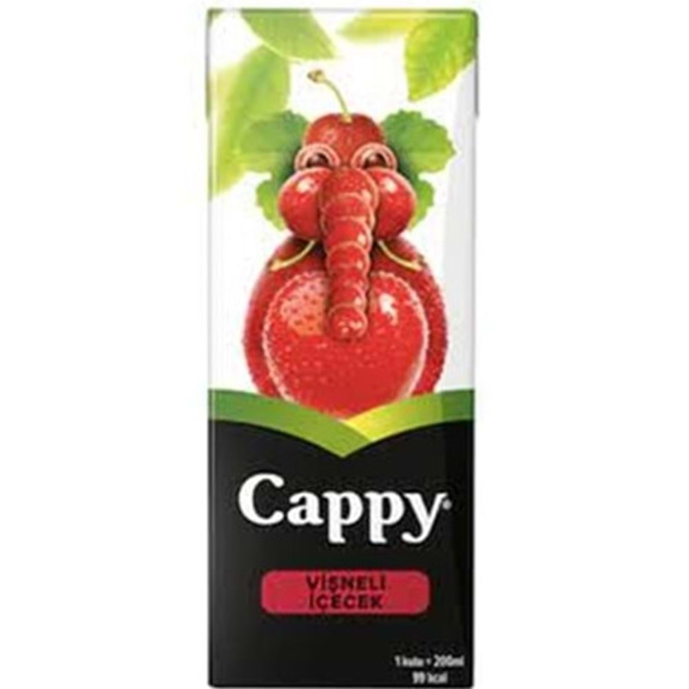 CAPPY MEYVE SUYU 200 ML VISNE