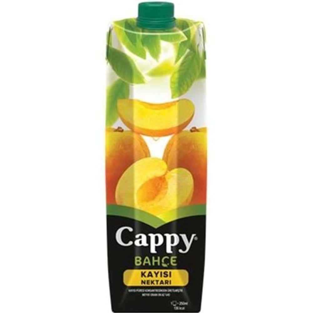 CAPPY MEYVE SUYU 1 LT KAYISI