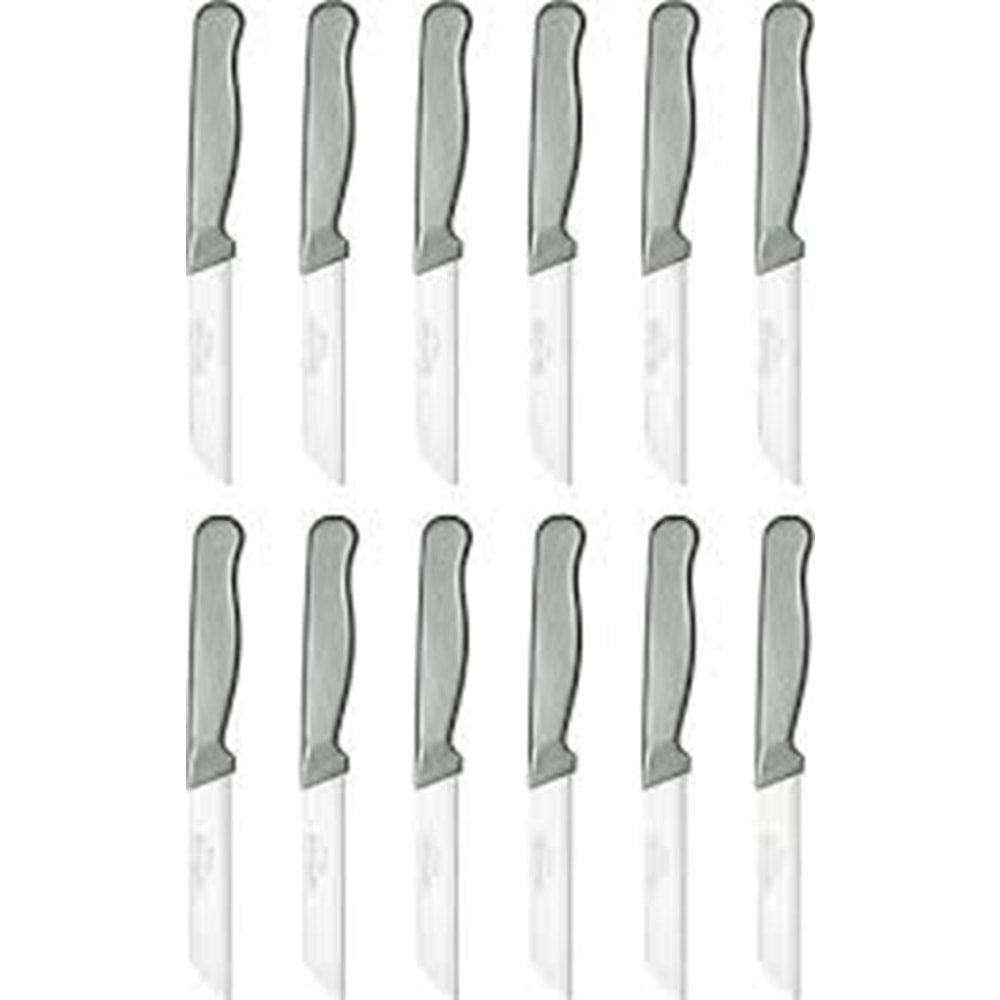 STAINLESS STEAL MEYVE BICAGI 12 LI