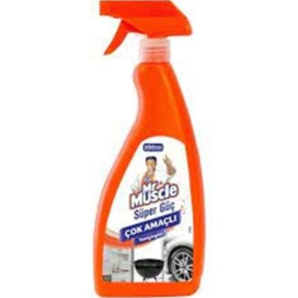 MR MUSCLE ÇOK AMAÇLI SPREY 750 ML