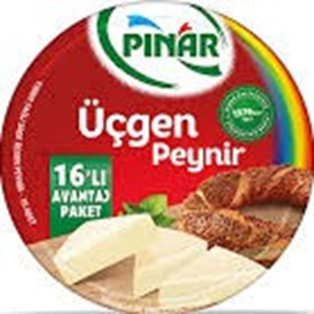 PINAR ÜÇGEN PEYNİR 200 G 16LI