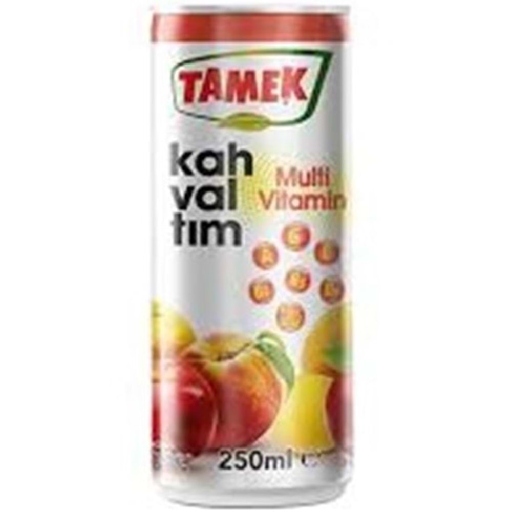 TAMEK MEYVE SUYU 250 ML KAHVALTIM