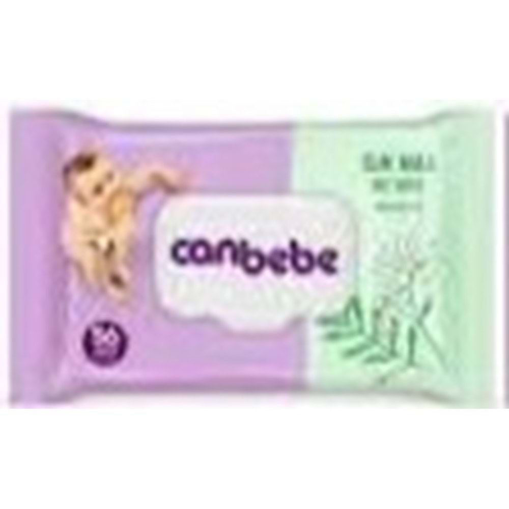 CANBEBE ISLAK HAVLU 56 LI TEMEL BAKIM