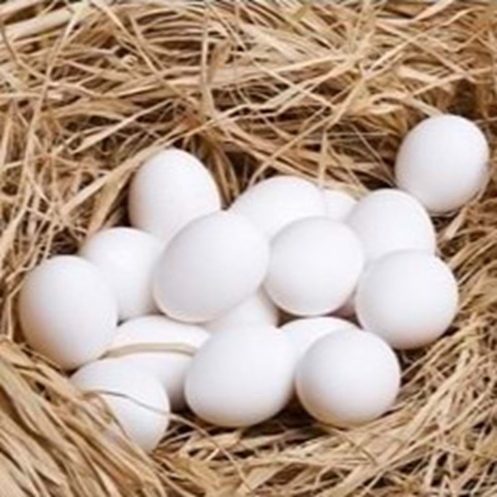 BEYPİLİÇ YUMURTA 30 LU M