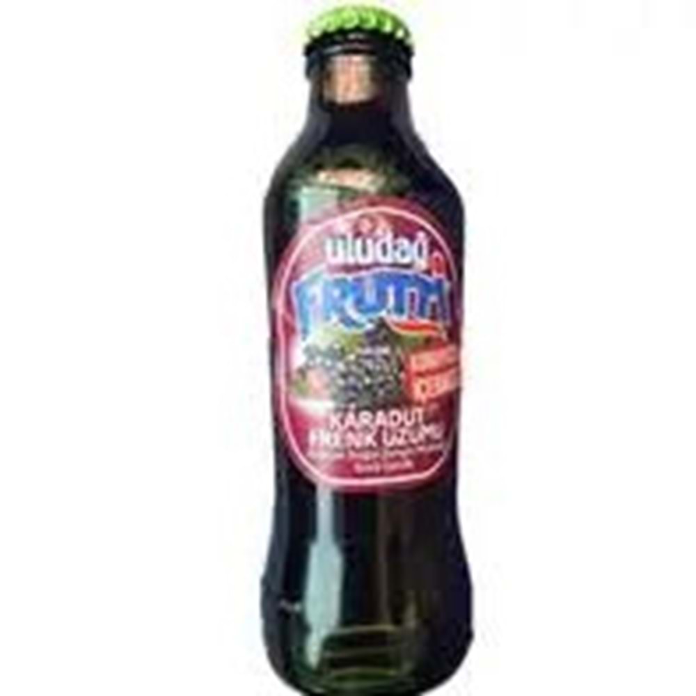 ULUDAĞ FRUTTİ MEYVELİ SODA 200 ML KARADUT FRENZ ÜZÜMÜ