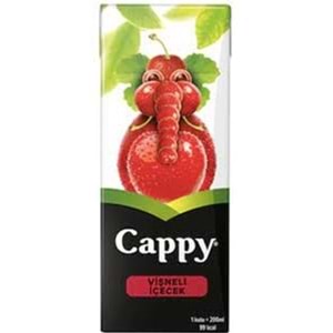 CAPPY MEYVE SUYU 200 ML VISNE