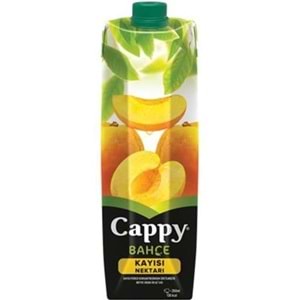 CAPPY MEYVE SUYU 1 LT KAYISI