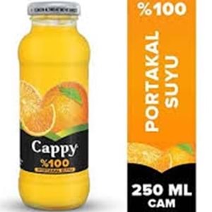 CAPPY %100 MEYVE SUYU 250 ML PORTAKAL