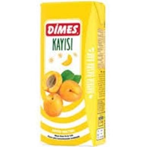 DIMES MEYVE SUYU 200 ML KAYISI