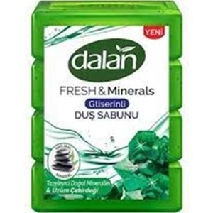 DALAN BANYO SABUNU 600 GR DOGAL MINERALLER