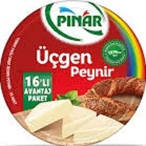 PINAR ÜÇGEN PEYNİR 200 G 16LI
