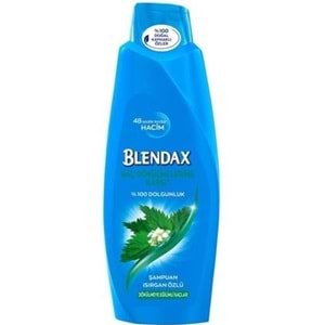 BLENDAX SAMPUAN 500 ML SAC DOKULMELERINE KARSI