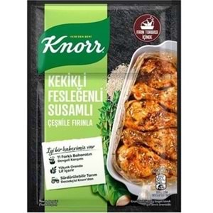 KNORR KEKIKLI FESLEGENLI SUSAMLI TAVUK CESNI 29 GR