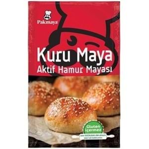 PAKMAYA KURU HAMUR MAYASI 100 GR