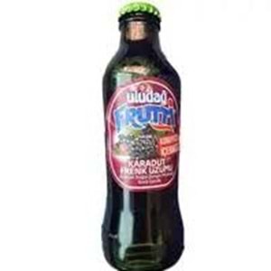 ULUDAĞ FRUTTİ MEYVELİ SODA 200 ML KARADUT FRENZ ÜZÜMÜ