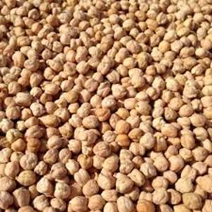 NURTAT NOHUT 2,5 KG 8,5 MM