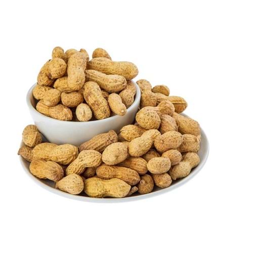 BEY-AR KABUKLU YER FISTIGI