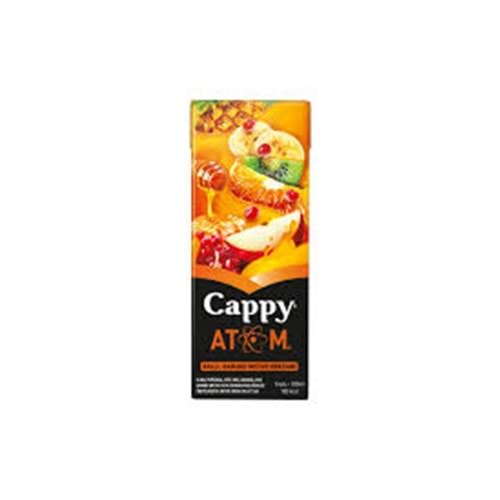 CAPPY MEYVE SUYU 200 ML ATOM