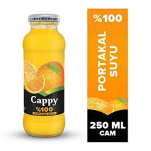 CAPPY %100 MEYVE SUYU 250 ML PORTAKAL