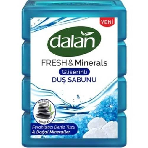 DALAN BANYO SABUNU 600 GR DENIZ TUZLU