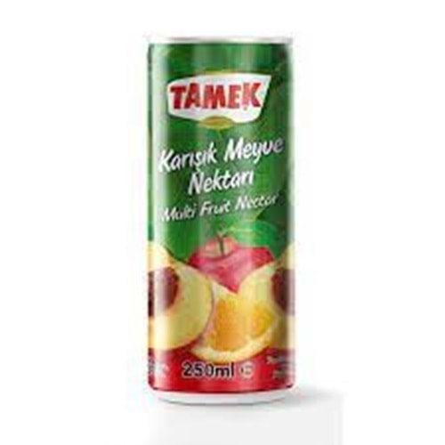 TAMEK MEYVE SUYU 250 ML KARISIK