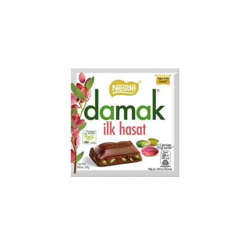 NESTLE DAMAK CIKOLATA 60 GR ILK HASAT