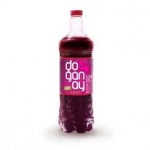 DOĞANAY ŞALGAM 2 LT ACILI