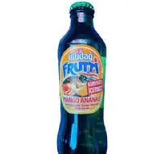 ULUDAĞ FRUTTİ MEYVELİ SODA 200 ML MANGO