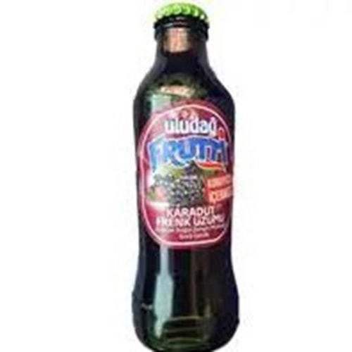 ULUDAĞ FRUTTİ MEYVELİ SODA 200 ML KARADUT FRENZ ÜZÜMÜ