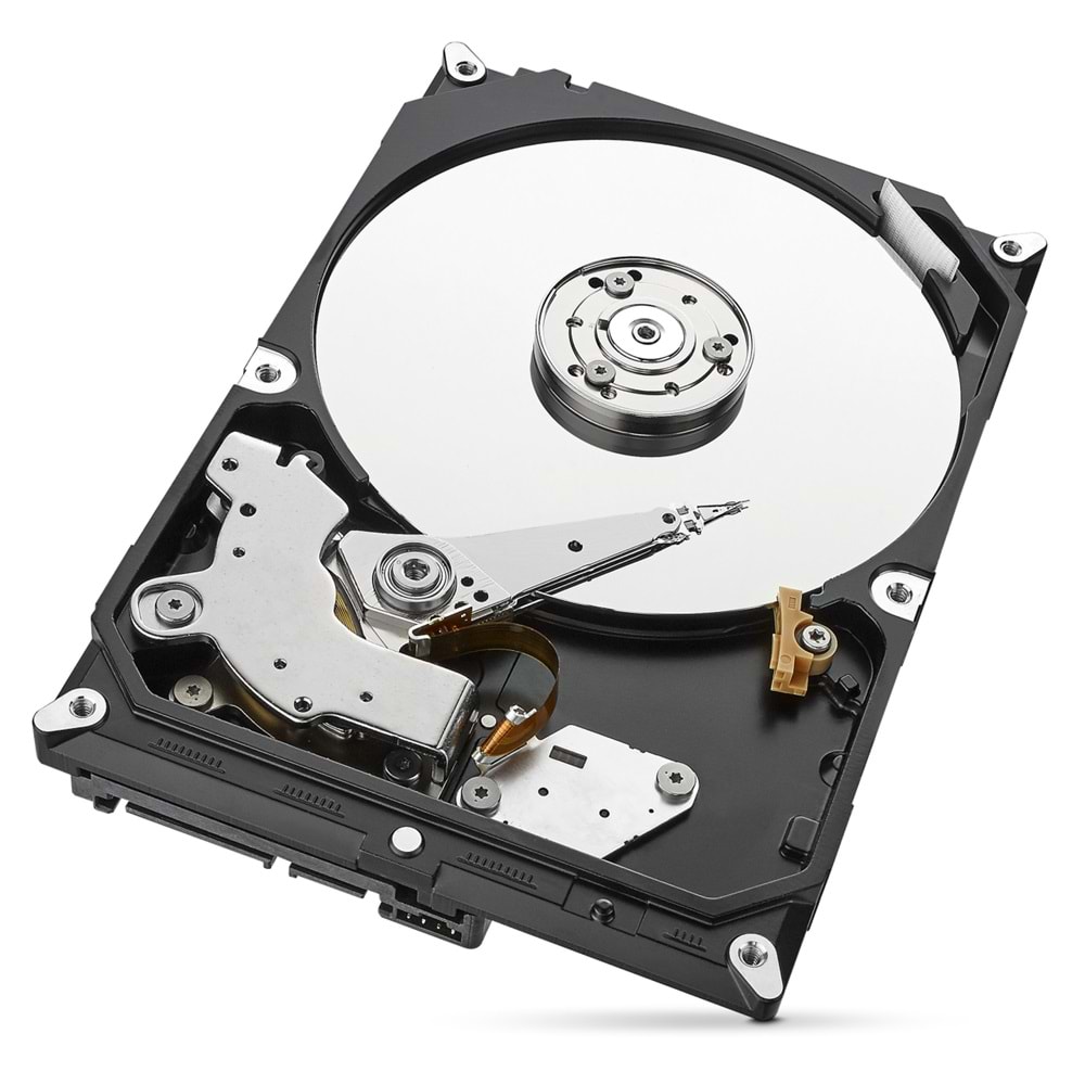 1 TB Seagate SKYHAWK 3,5