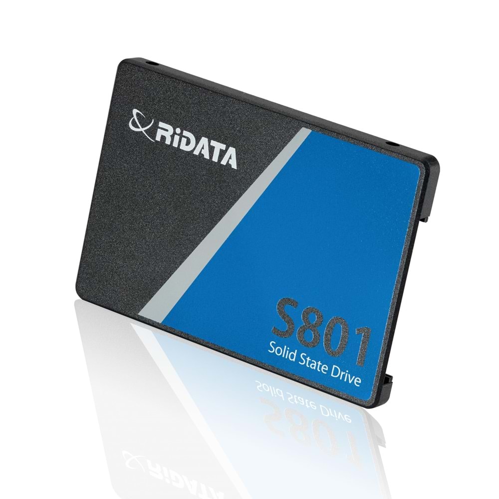 256GB Ridata Sata III S801 Read Up 520MB/s SSD Disk
