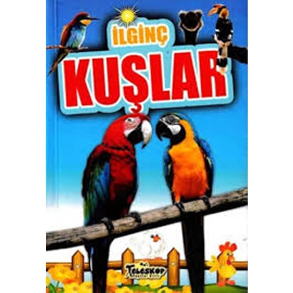 İlginç Kuşlar - İlginç Bilgiler Serisi