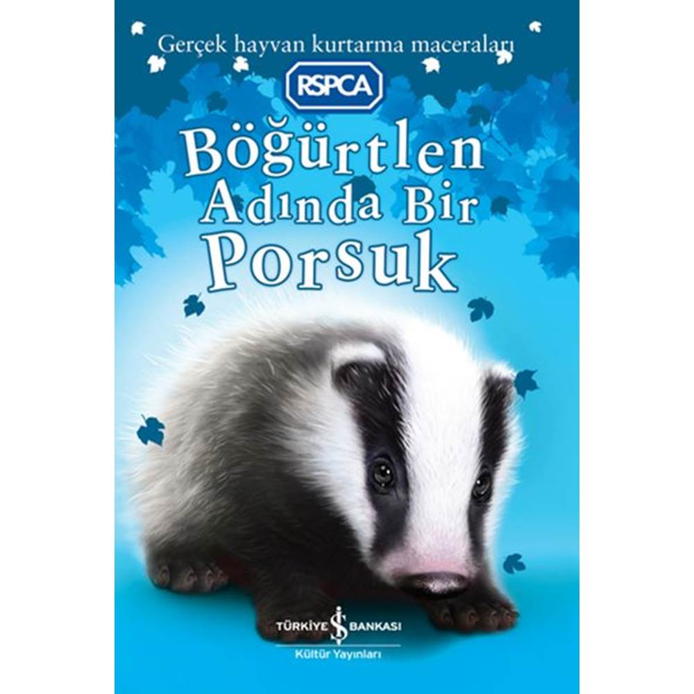 Böğürtlen Adında Bir Porsuk