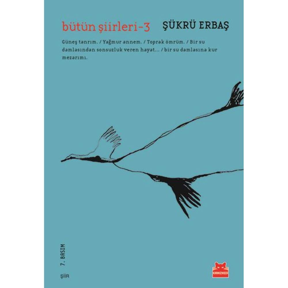 Bütün Şiirleri 3