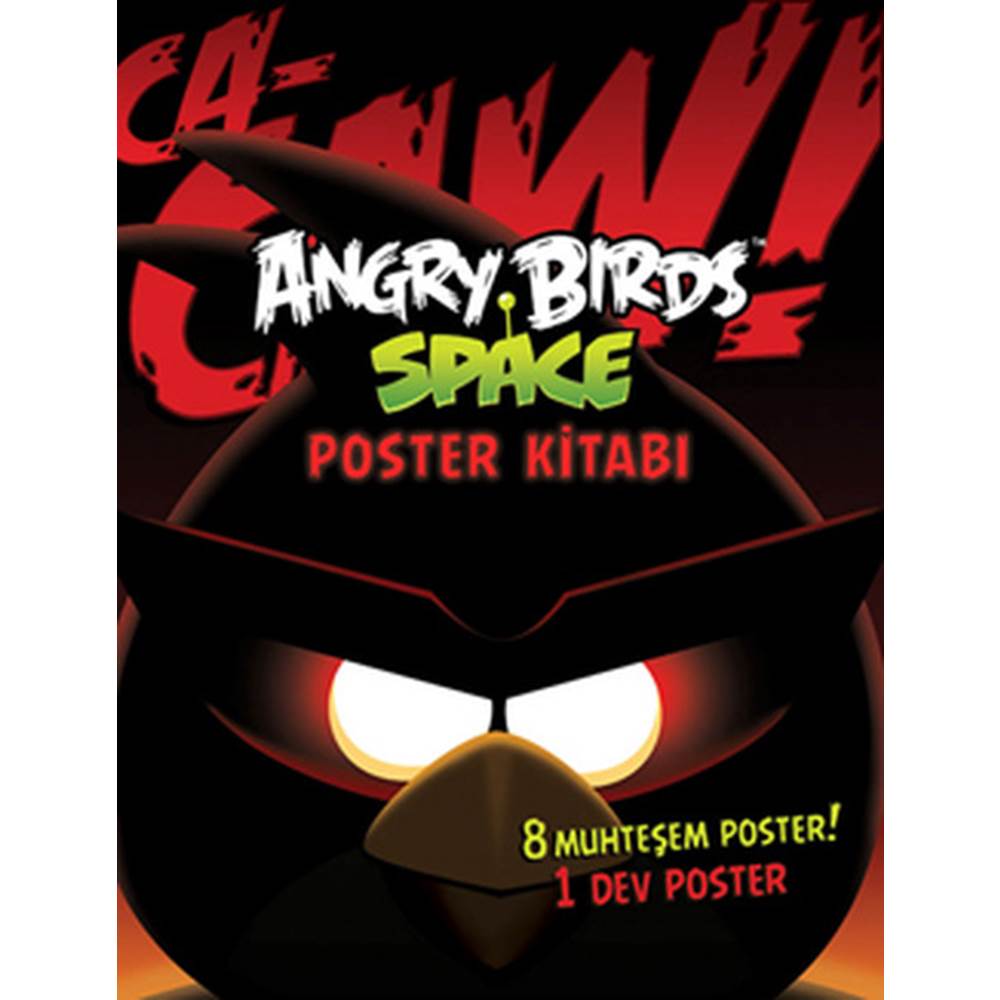 Angry Birds Space Poster Kitabı