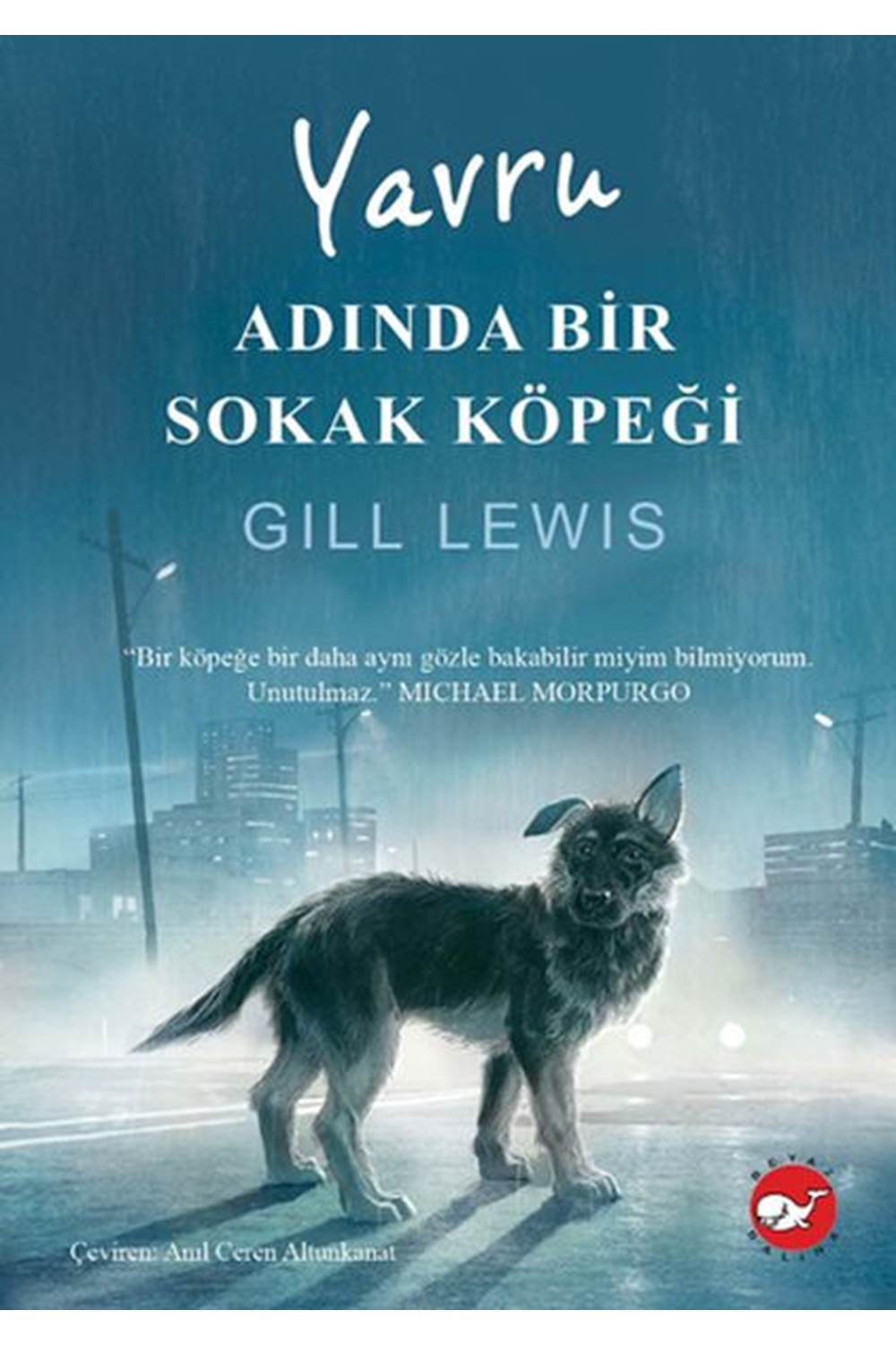 Yavru Adında Bir Sokak Köpeği