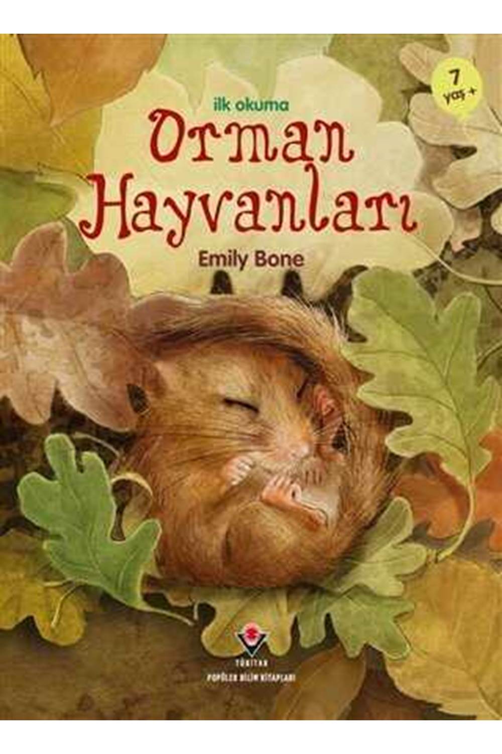 İlk Okuma - Orman Hayvanları