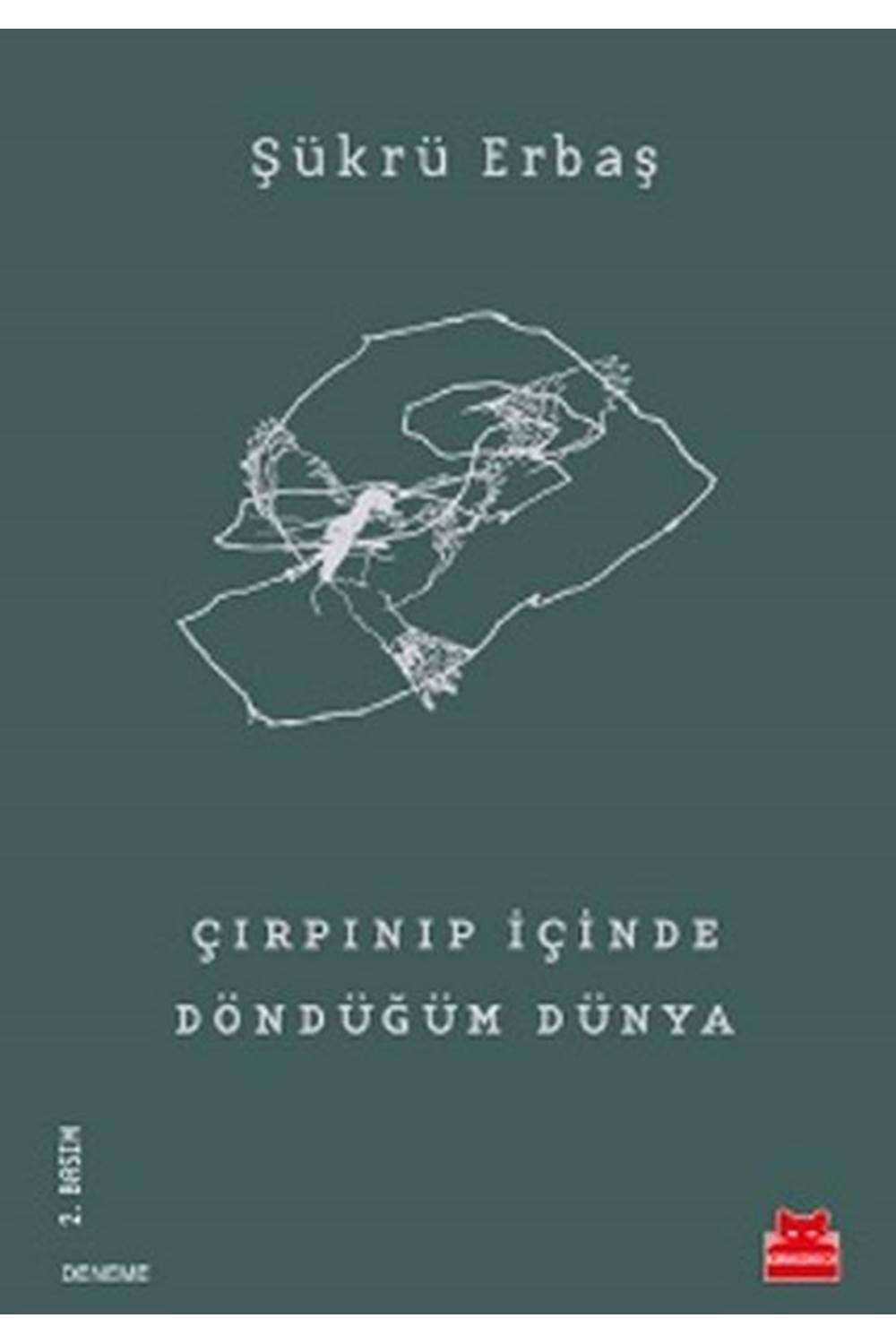 Çırpınıp İçinde Döndüğüm Dünya