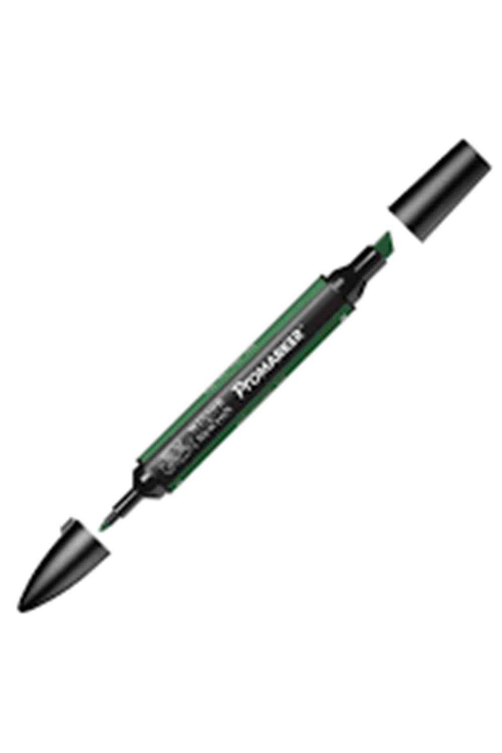 Winsor & Newton Promarker Pine 244 (G635)