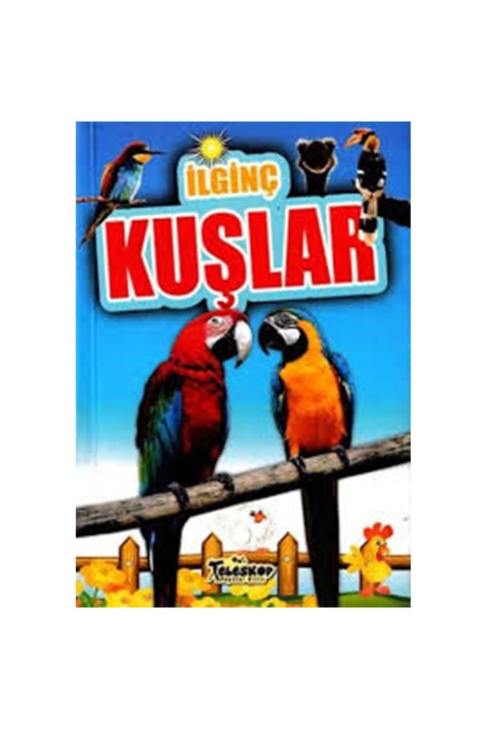 İlginç Kuşlar - İlginç Bilgiler Serisi