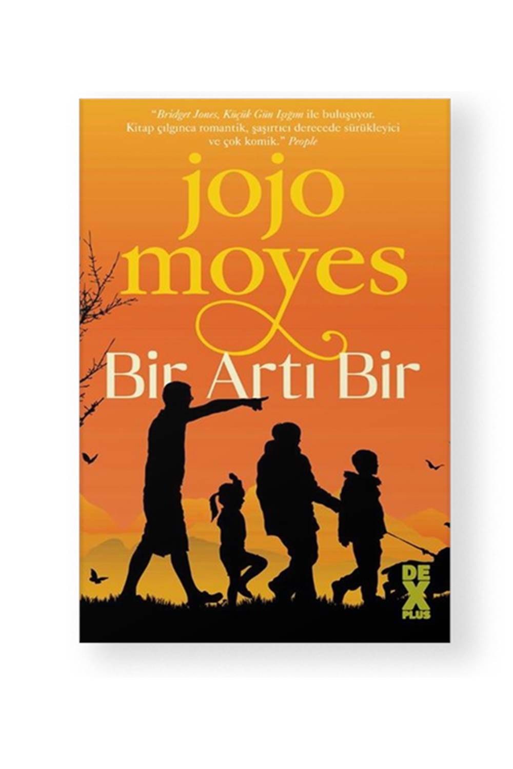 Bir Artı Bir