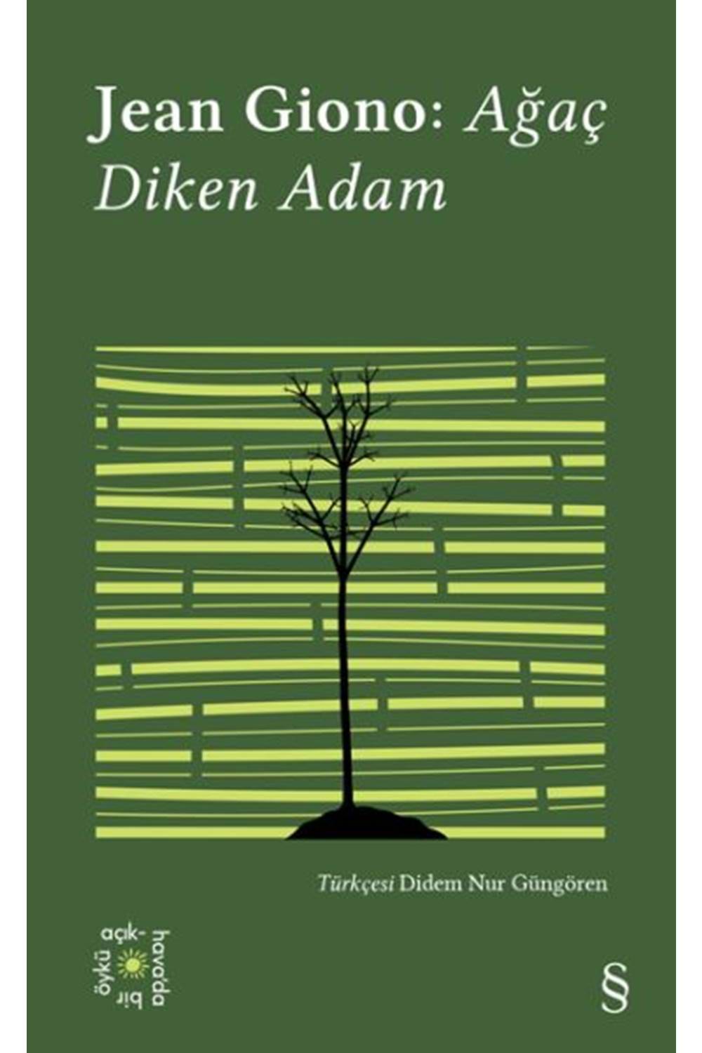 Ağaç Diken Adam - Everest Açıkhava 17