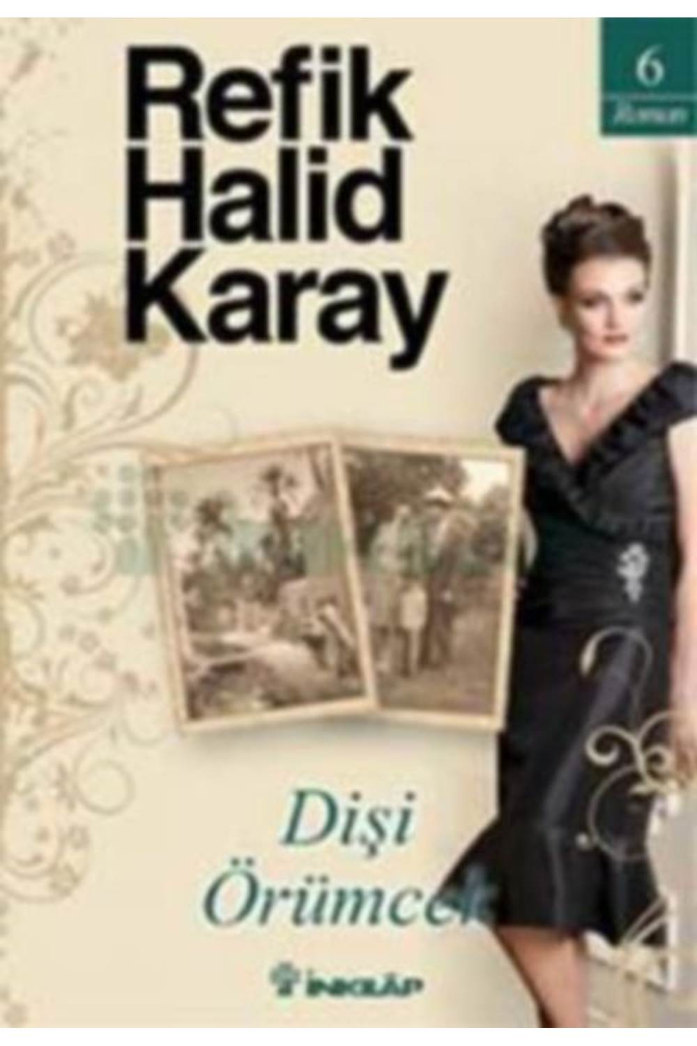 Dişi Örümcek