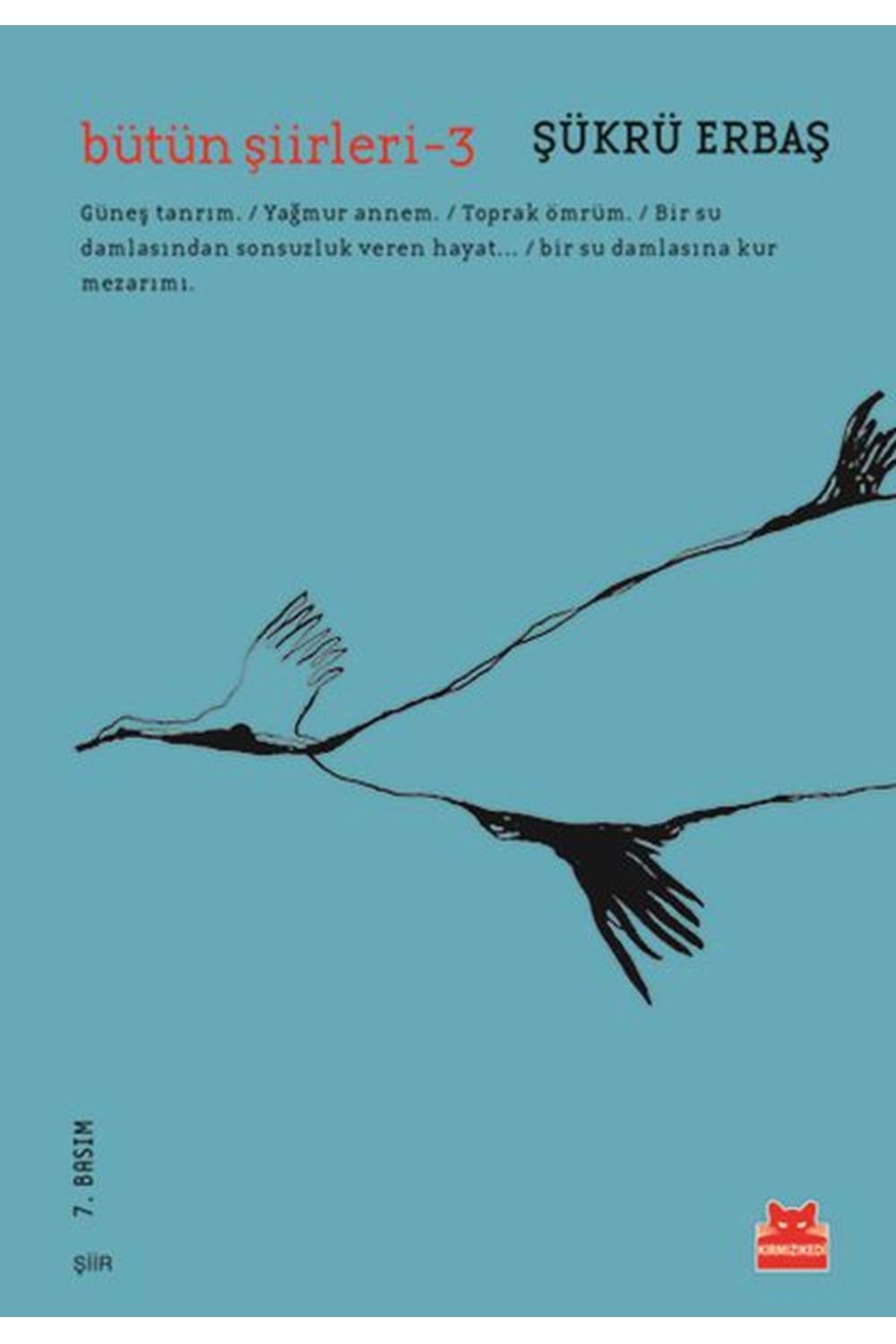 Bütün Şiirleri 3