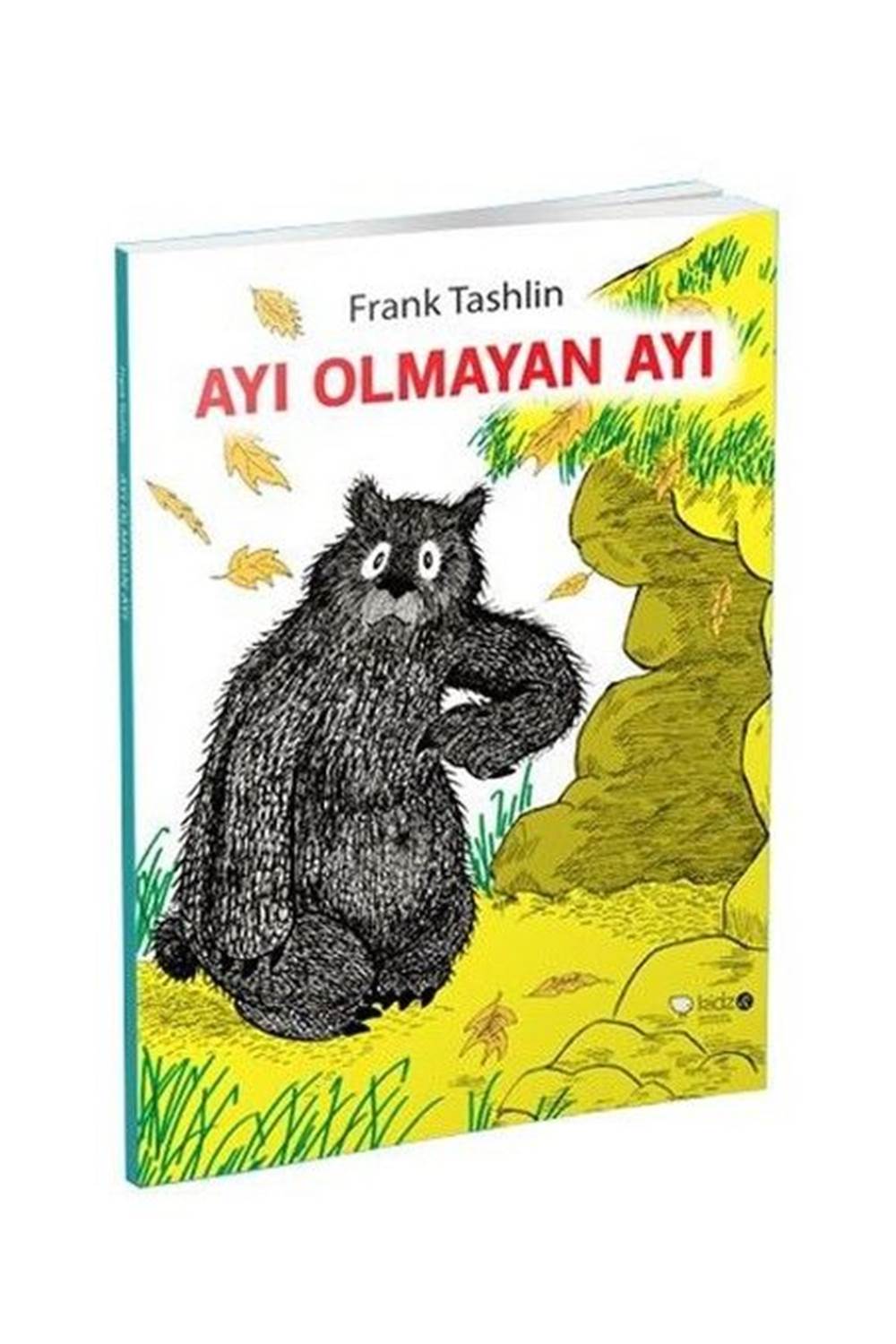 Ayı Olmayan Ayı
